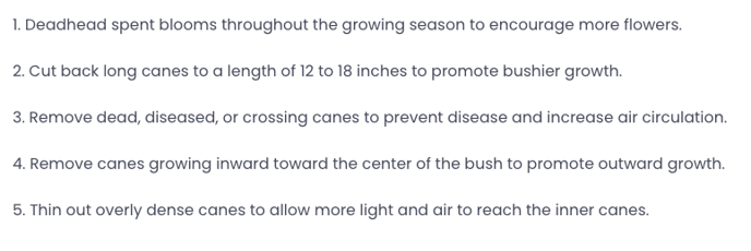 aiprompt 5 things